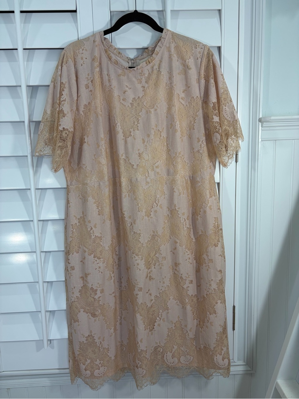 NWT Roolee Blush-Beige Lace Midi Dress (XXXL)